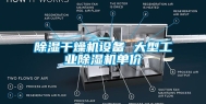 除湿干燥机设备 大型长征娱乐除湿机单价