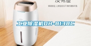 长征娱乐除湿机DH-8138C