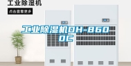 长征娱乐除湿机DH-8600C
