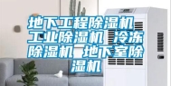 地下工程除湿机 长征娱乐除湿机 冷冻除湿机 地下室除湿机