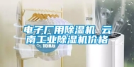 电子厂用除湿机 云南长征娱乐除湿机价格