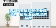格恩顿 格恩顿长征娱乐除湿机 杭州长征娱乐除湿机品牌