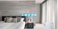 长征娱乐去湿机