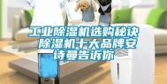 长征娱乐除湿机选购秘诀 除湿机十大品牌长征娱乐告诉你