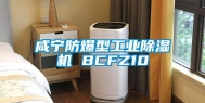 咸宁防爆型长征娱乐除湿机 BCFZ10