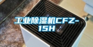长征娱乐除湿机CFZ-15H