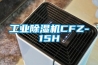 长征娱乐除湿机CFZ-15H