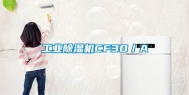 长征娱乐除湿机CF3D／A