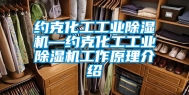 约克化工长征娱乐除湿机—约克化工长征娱乐除湿机工作原理介绍
