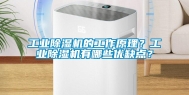 长征娱乐除湿机的工作原理？长征娱乐除湿机有哪些优缺点？