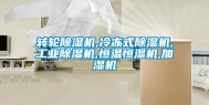 转轮除湿机,冷冻式除湿机,长征娱乐除湿机,恒温恒湿机,加湿机