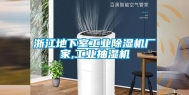 浙江地下室长征娱乐除湿机厂家,长征娱乐抽湿机