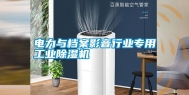 电力与档案影音行业专用长征娱乐除湿机