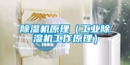 除湿机原理（长征娱乐除湿机工作原理）