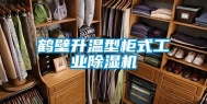 鹤壁升温型柜式长征娱乐除湿机