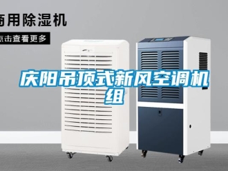 企业新闻庆阳吊顶式新风空调机组
