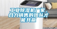 长征娱乐除湿机厂家，合力销售的团队才能共赢