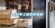 大功率长征娱乐型除湿机