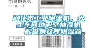 通化市长征娱乐除湿机，大型车间地下室抽湿机  配电房仓库除湿器