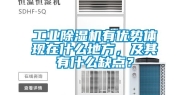 长征娱乐除湿机有优势体现在什么地方，及其有什么缺点？