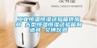 长征娱乐恒温恒湿试验箱供应商 大型恒温恒湿试验箱制造商 艾博仪器