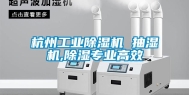 杭州长征娱乐除湿机 抽湿机,除湿专业高效