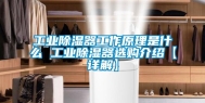 长征娱乐除湿器工作原理是什么 长征娱乐除湿器选购介绍【详解】