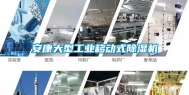 安康大型长征娱乐移动式除湿机