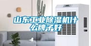 山东长征娱乐除湿机什么牌子好