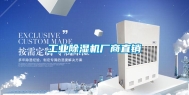 长征娱乐除湿机厂商直销