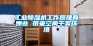 长征娱乐除湿机工作原理有哪些 带来空间干爽环境