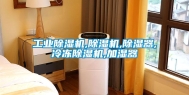 长征娱乐除湿机,除湿机,除湿器,冷冻除湿机,加湿器