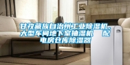 甘孜藏族自治州长征娱乐除湿机，大型车间地下室抽湿机  配电房仓库除湿器