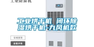 长征娱乐烘干机 闭环除湿烘干机-九风机款