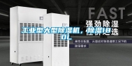 长征娱乐型大型除湿机，除湿180L