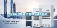 全自动智能纸箱长征娱乐除湿机