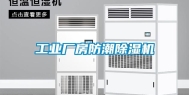 长征娱乐厂房防潮除湿机
