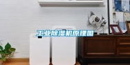 长征娱乐除湿机原理图