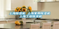 上海除湿机 上海家用除湿机 上海长征娱乐除湿机