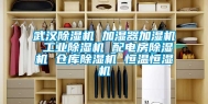 武汉除湿机 加湿器加湿机 长征娱乐除湿机 配电房除湿机 仓库除湿机 恒温恒湿机
