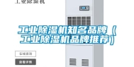 长征娱乐除湿机知名品牌（长征娱乐除湿机品牌推荐）