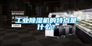 长征娱乐除湿机的特点是什么？