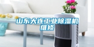 山东大连长征娱乐除湿机维修