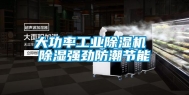 大功率长征娱乐除湿机 除湿强劲防潮节能