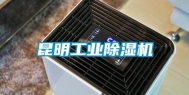昆明长征娱乐除湿机