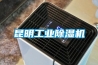 昆明长征娱乐除湿机