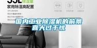 国内长征娱乐除湿机的前景喜大过于忧