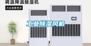 长征娱乐除湿风机