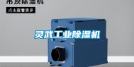 灵武长征娱乐除湿机