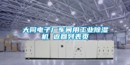 大同电子厂车间用长征娱乐除湿机 返回列表页